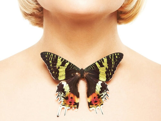 Votre thyroïde fonctionne t'elle bien?